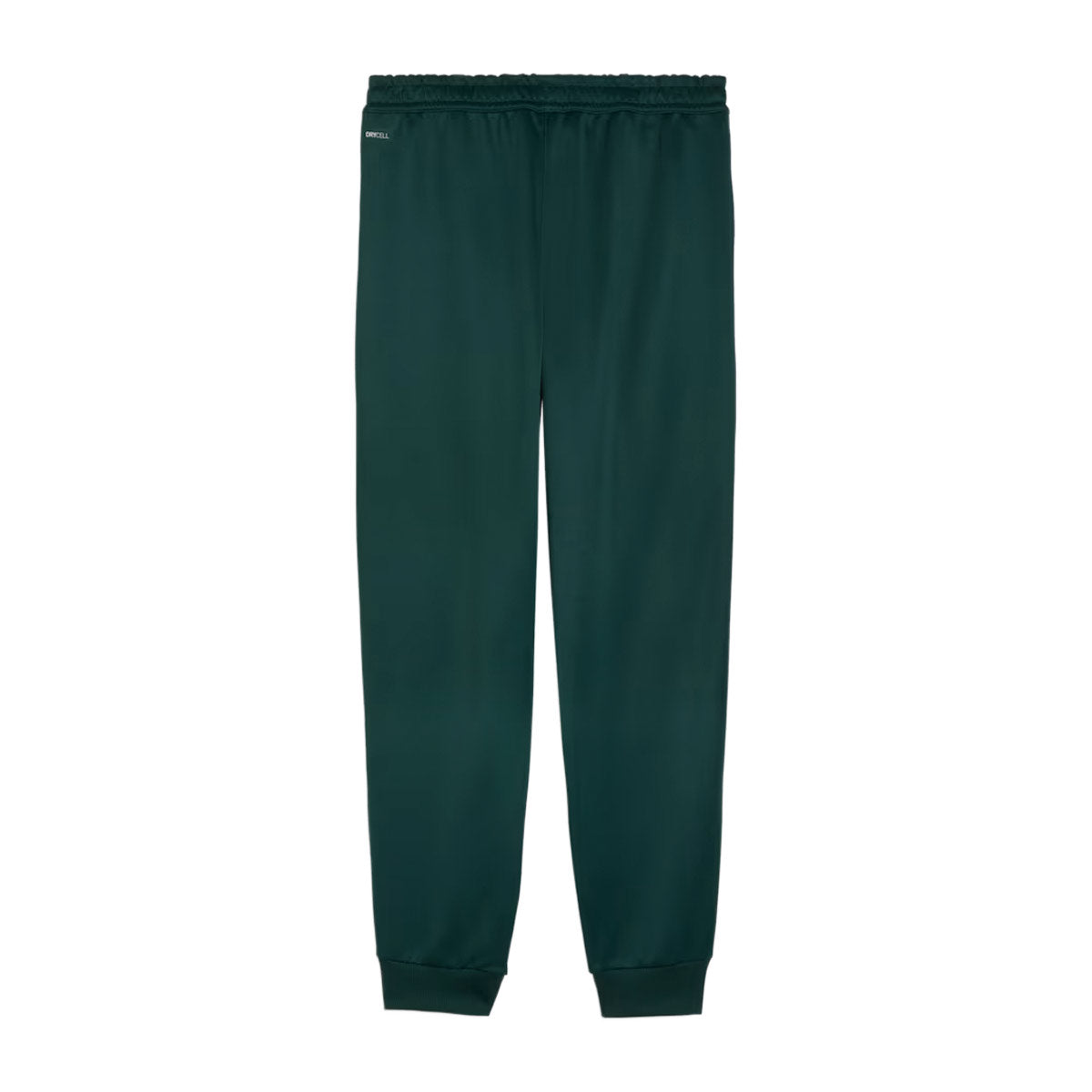 Puma Manchester City King Anthem Pants product image 5, provided for visual reference and product detail review