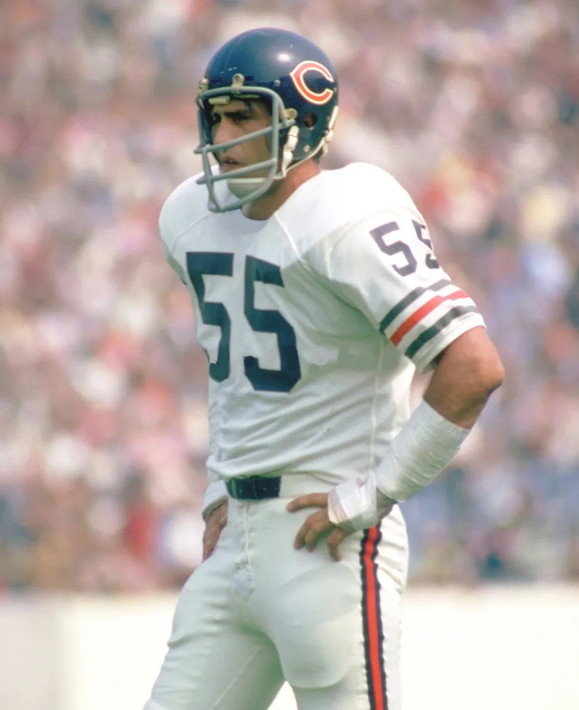 Doug Buffone Chicago Bears NFL Mitchell & Ness Jersey white product image 4, provided for visual reference and product