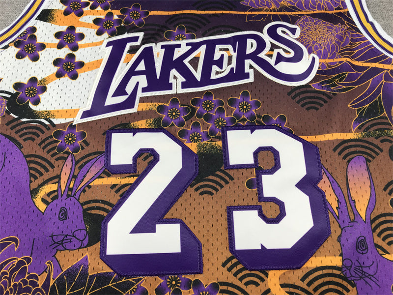 Lebron James YOUTH KIDS Los Angeles Lakers Official NBA Mitchell & Ness Jersey product image 3, provided for visual
