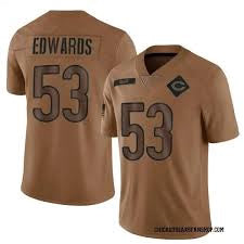 T.J. Edwards Chicago Bears official Nike NFL Salute to Service Jersey product image 1, provided for visual reference and