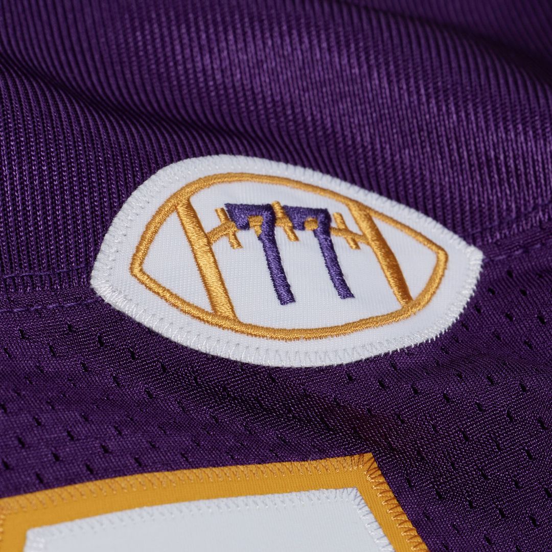 Minnesota Vikings Randy Moss Mitchell & Ness Purple 2001 product image 6