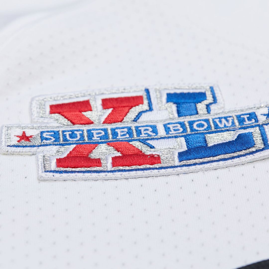 Pittsburgh Steelers Hines Ward Mitchell & Ness White 2005 product image 8