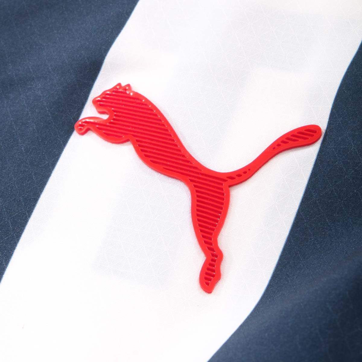 Puma Rayados 26/27 Home Replica Jersey product image 5, provided for visual reference and product detail review