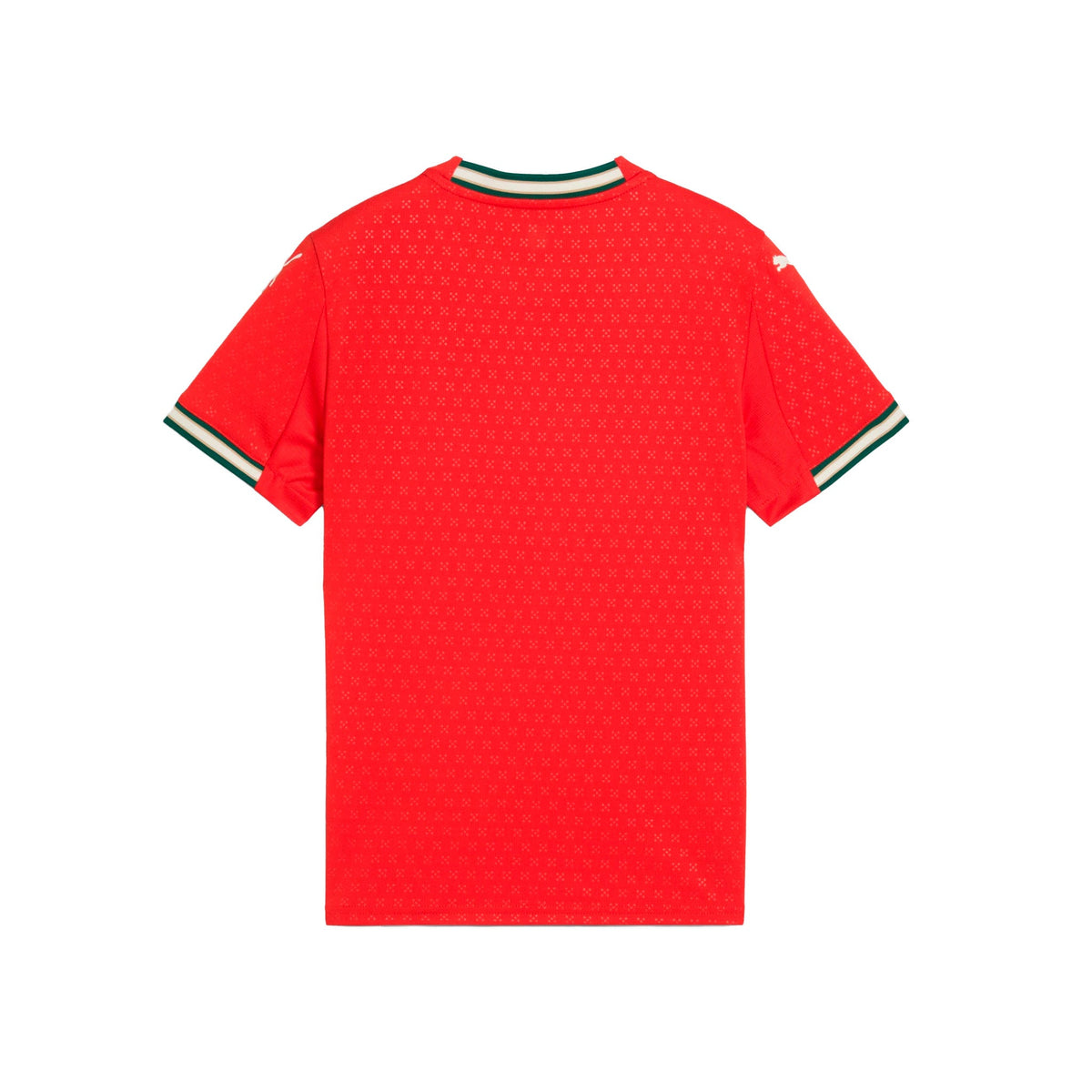 Puma Portugal FPF Junior Home Jersey 2025 product image 4, provided for visual reference and product detail review