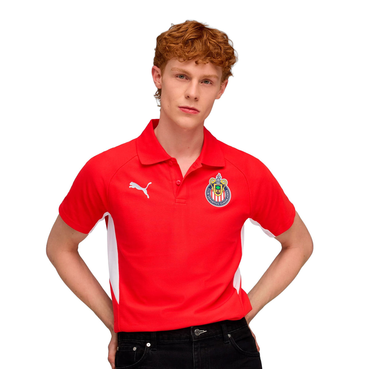 puma chg evostripe polo shirt product image 1, provided for visual reference and product detail review