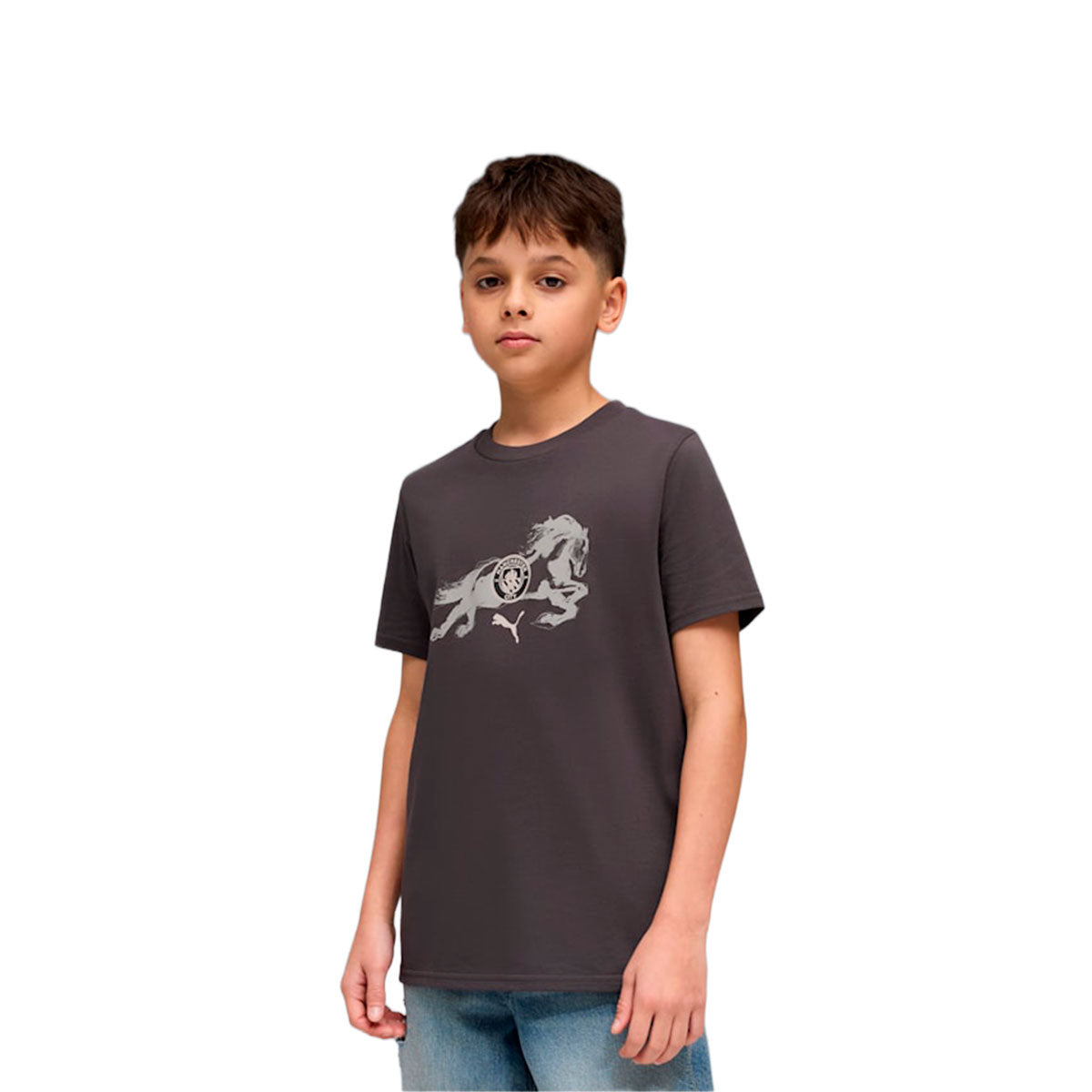 Puma Manchester City x Year of the Horse T-Shirt product image 1, provided for visual reference and product detail review