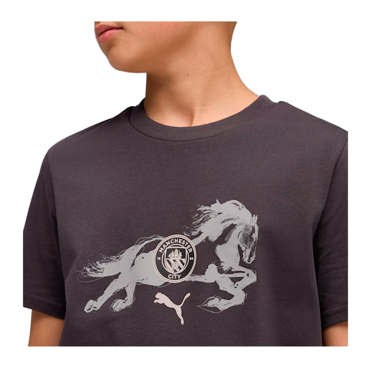 Puma Manchester City x Year of the Horse T-Shirt product image 3, provided for visual reference and product detail review