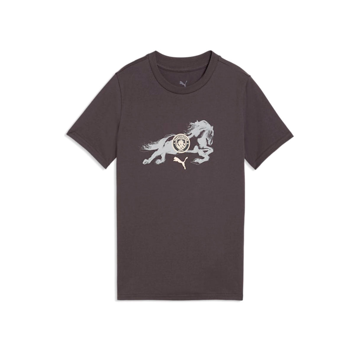 Puma Manchester City x Year of the Horse T-Shirt product image 5, provided for visual reference and product detail review