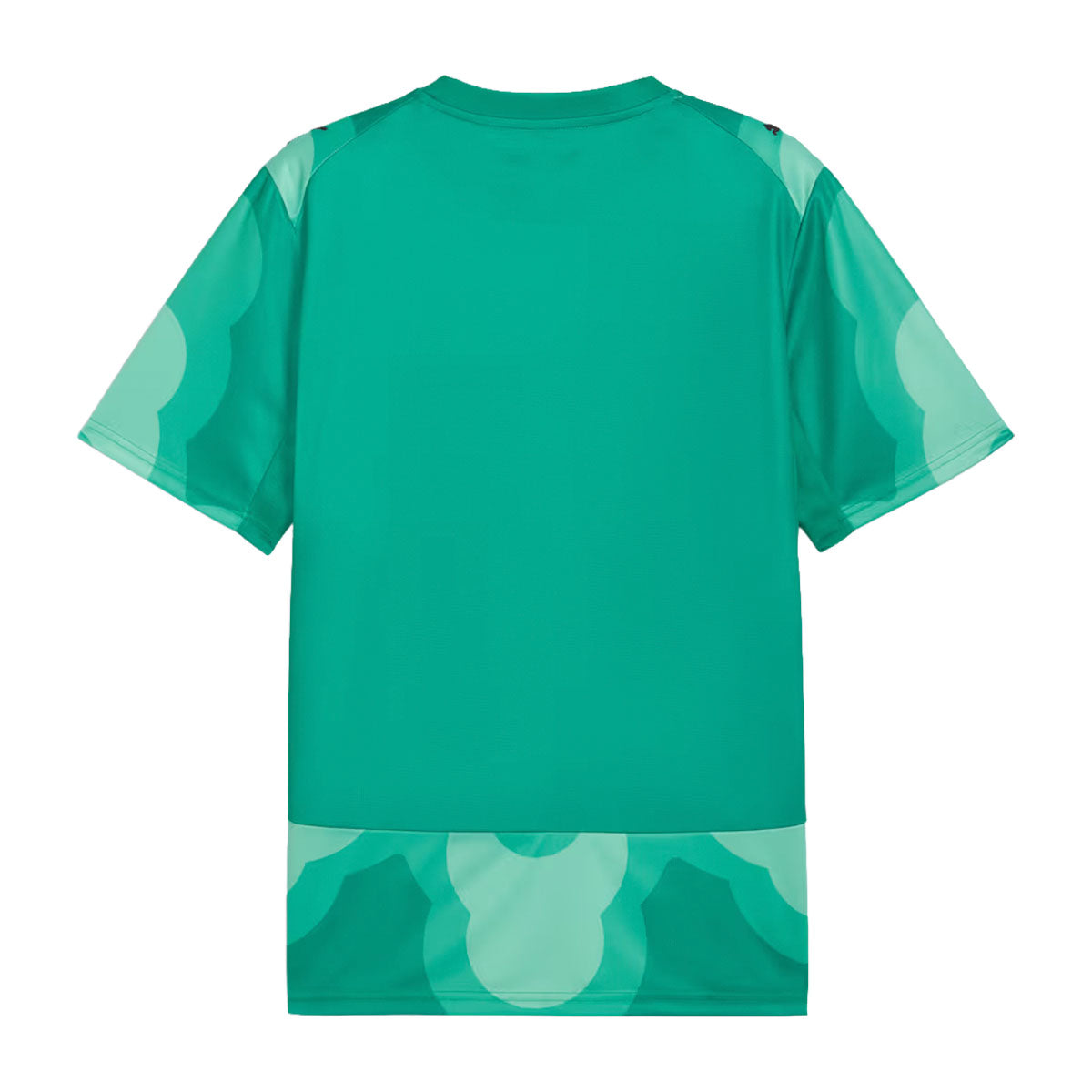 Puma Ivory Coast x Salehe Bembury 2026 Goalkeeper Jersey product image 6, provided for visual reference and product detail