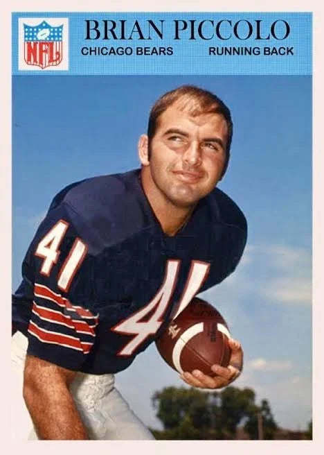 Brian Piccolo Chicago Bears Official NFL NIKE Jersey product image 2, provided for visual reference and product detail review