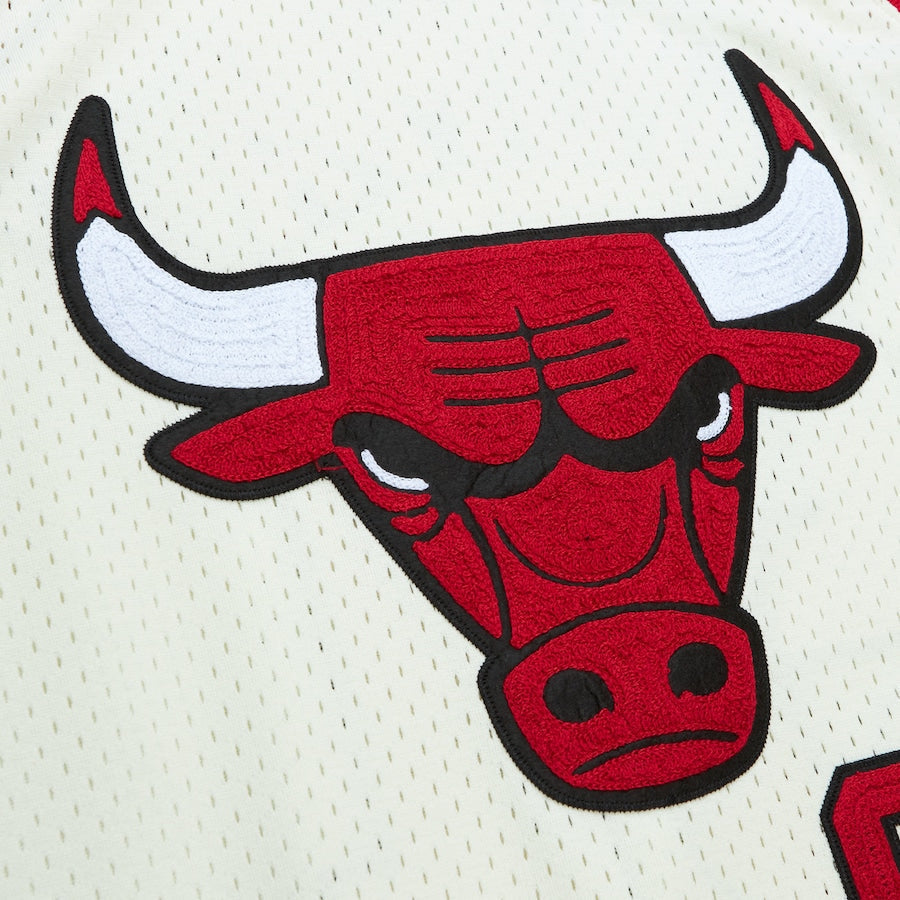 Dennis Rodman YOUTH KIDS Chicago Bulls Mitchell & Ness Jersey cream color product image 4, provided for visual reference and