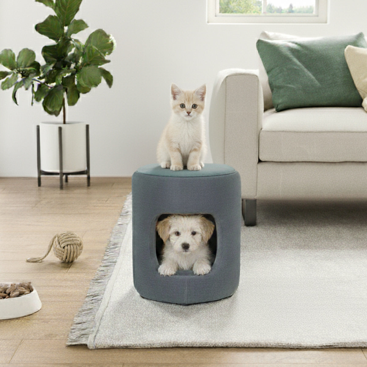 Stolly Pet Cave Stool