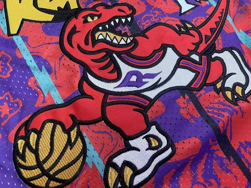 Vince Carter Toronto Raptors 1998/99 Hardwood Classics Lunar New Year Jersey - Purple product image 2, provided for visual