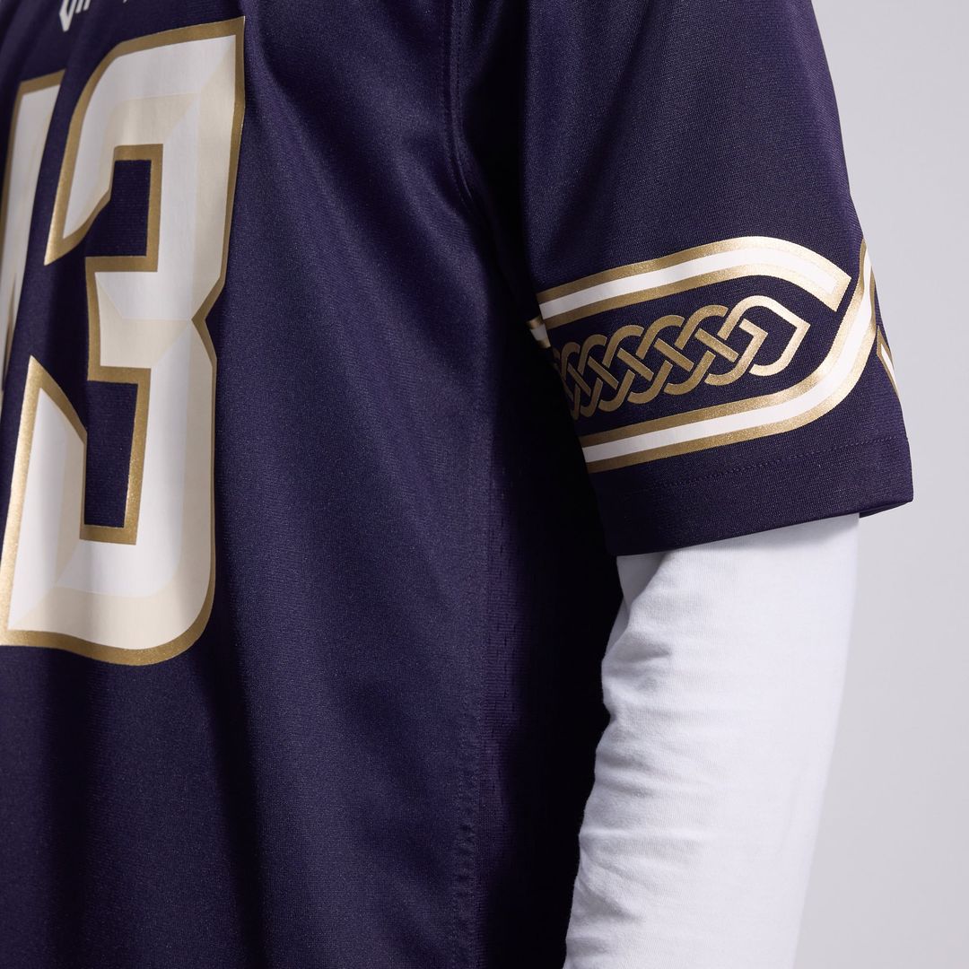 Minnesota Vikings Andrew Van Ginkel Nike Purple 2026 product image 18