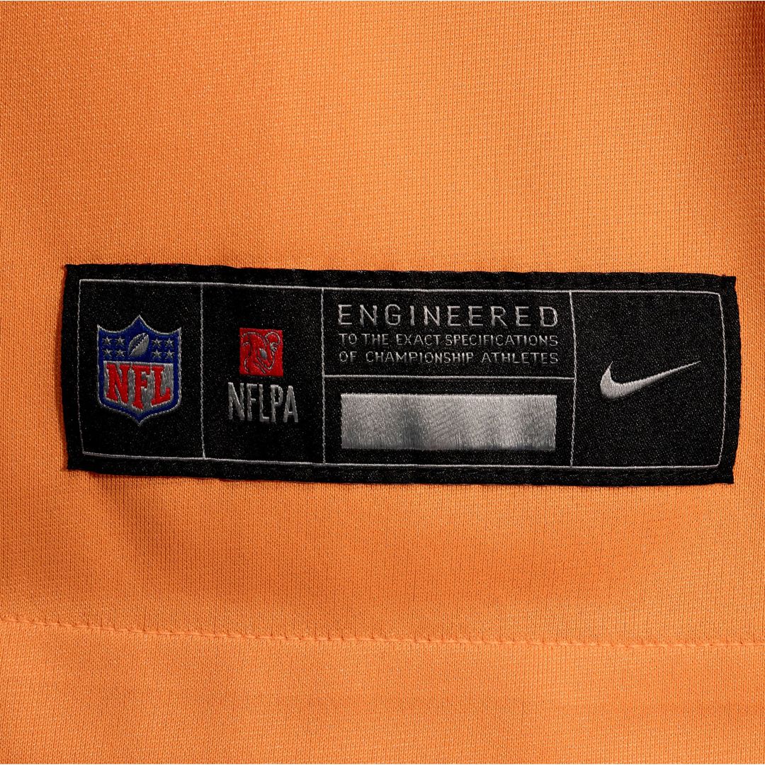 Tampa Bay Buccaneers Emeka Egbuka Nike Pewter Alternate product image 16